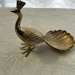 beautiful gold colored peacock